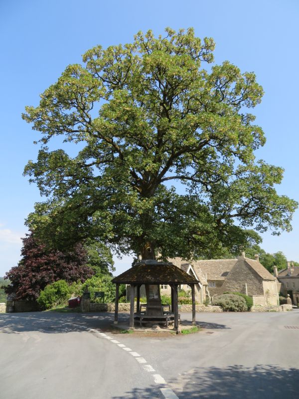 Miserden